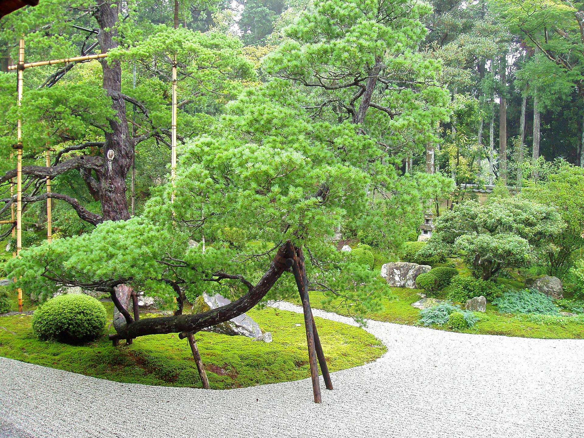 The garden at Manshu-in, a quiet temple in northeast Kyoto