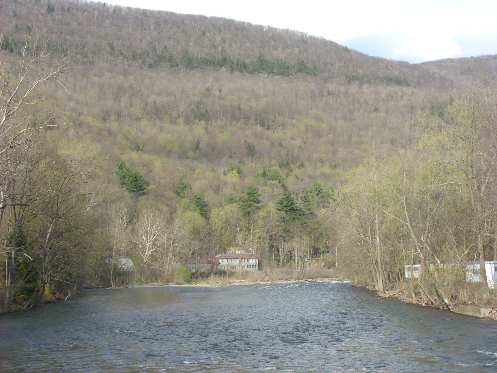Esopus Creek where it runs through Phoenicia, New York