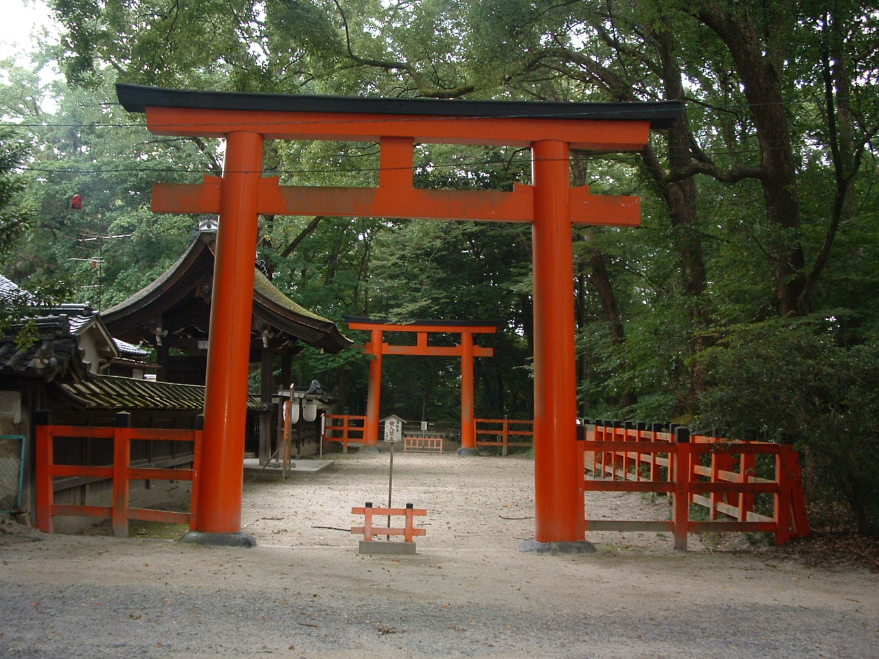 The forest approach to Shimogamo Shrine in Kyoto